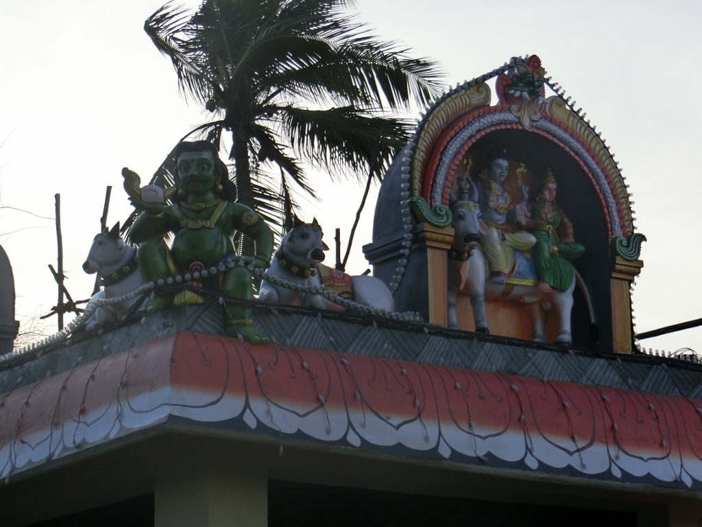 Generic placeholder image